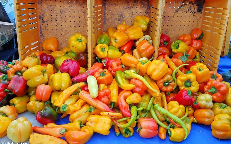 Phân tích biểu đồ thị trường bất động sản