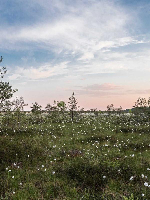 Decor trạm nghe nhạc 2026