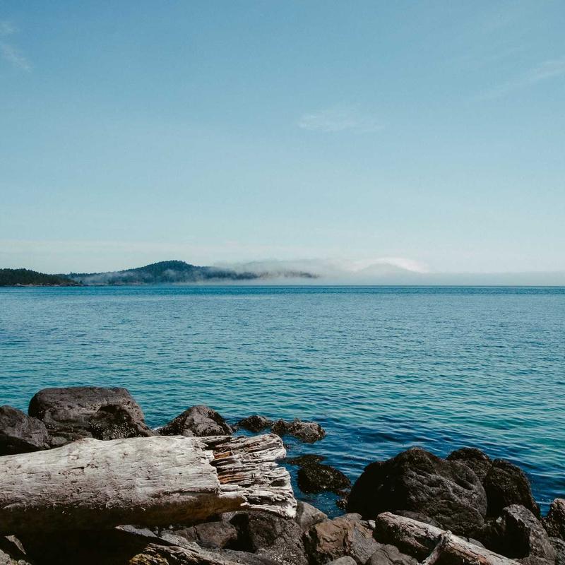 Thức ăn thú cưng 2026 hữu cơ Mix hạt cao cấp