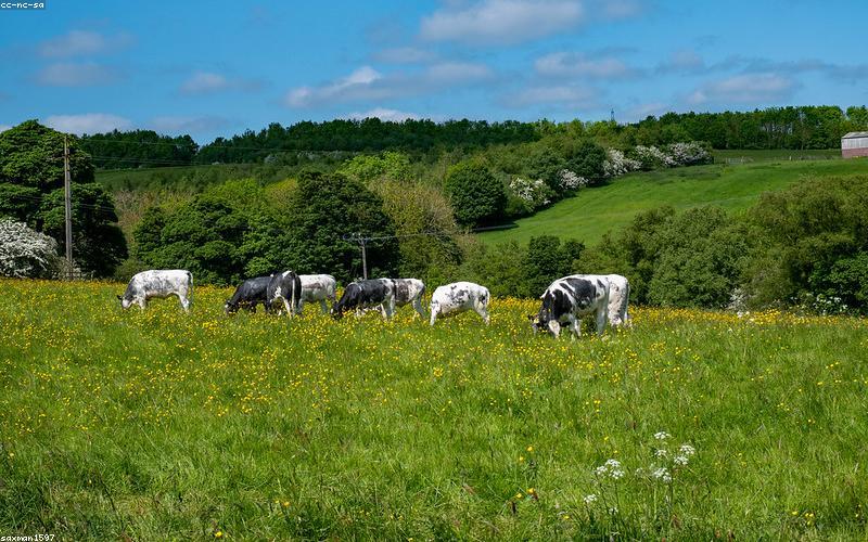 Tầm nhìn từ Bungalow