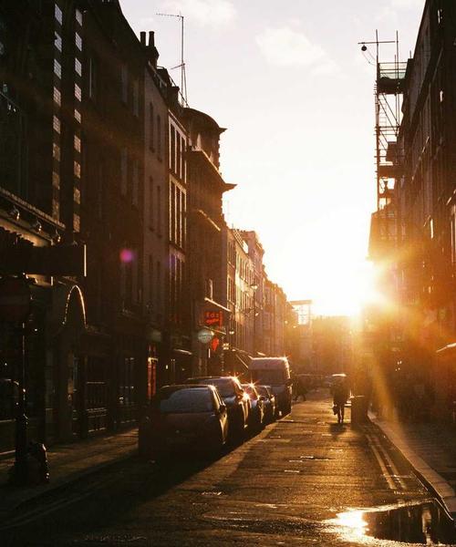 Wildflower Art - Trang trí tiệc cưới Rustic