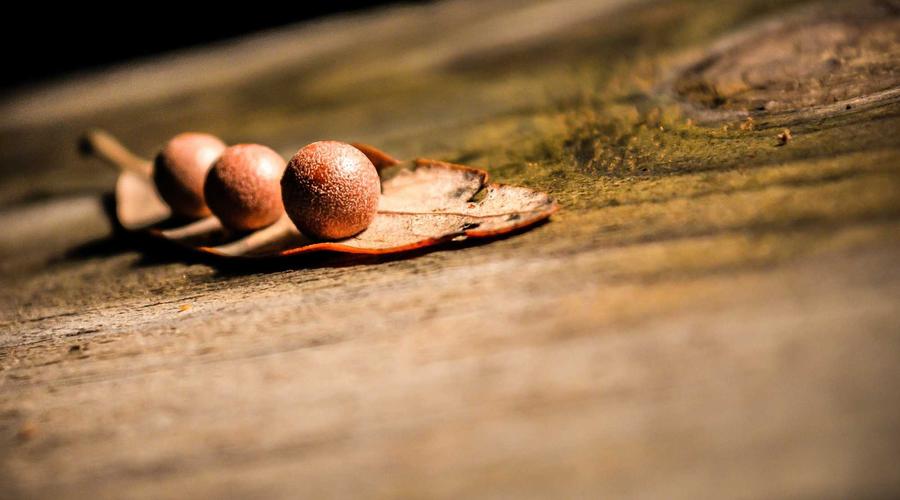 Kết nối kỹ năng thực tế 2026