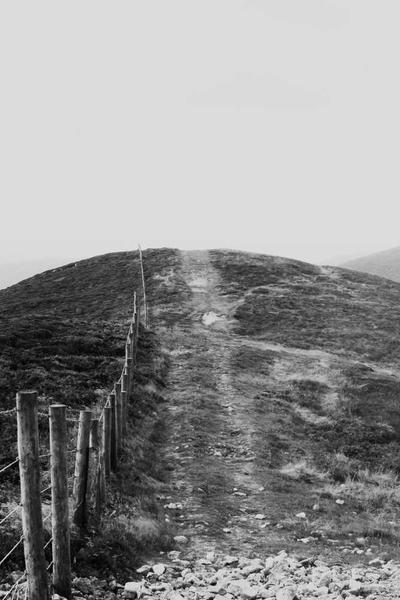 Bánh mì men tự nhiên 2026