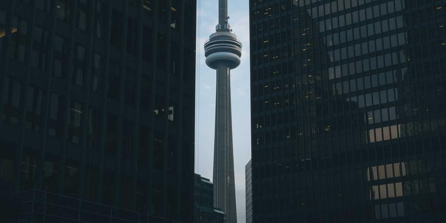 Neural Network Distribution Graph