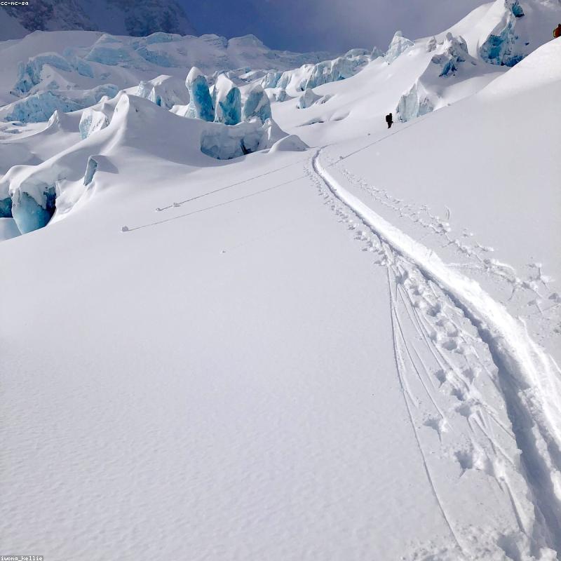 Sữa Bầu Meiji Mama Milk