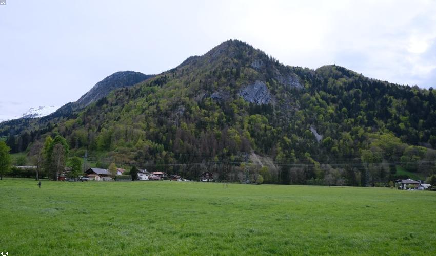 Lối sống lành mạnh cùng Wild Honey