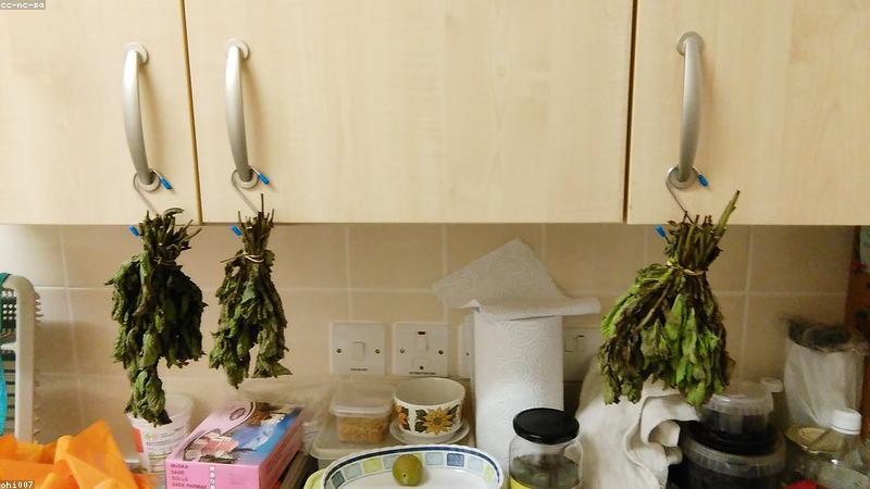 Công nghệ sấy lạnh thảo mộc