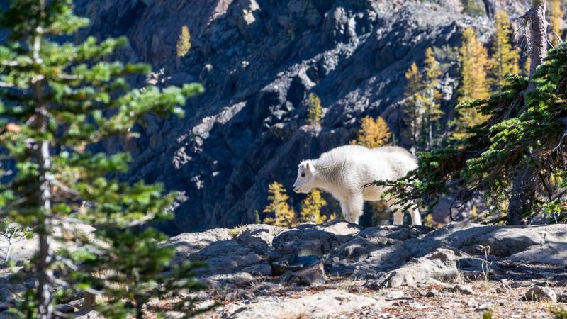 Streetwear 2026 tại Omotesando