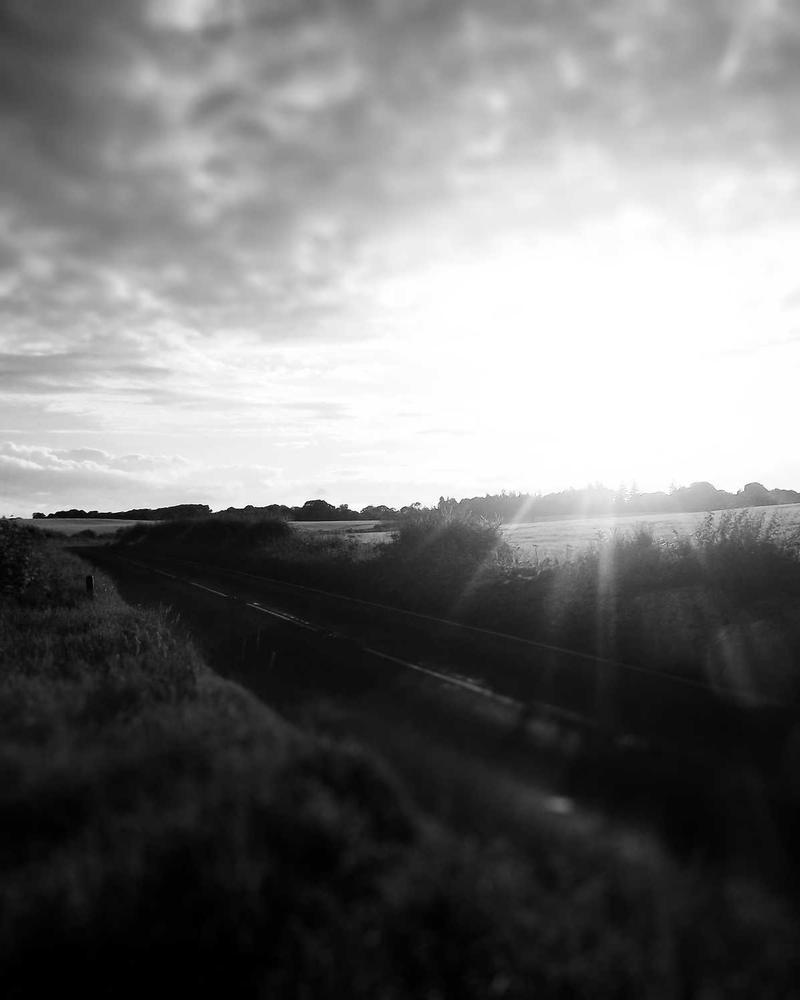 Custom Cake Designer