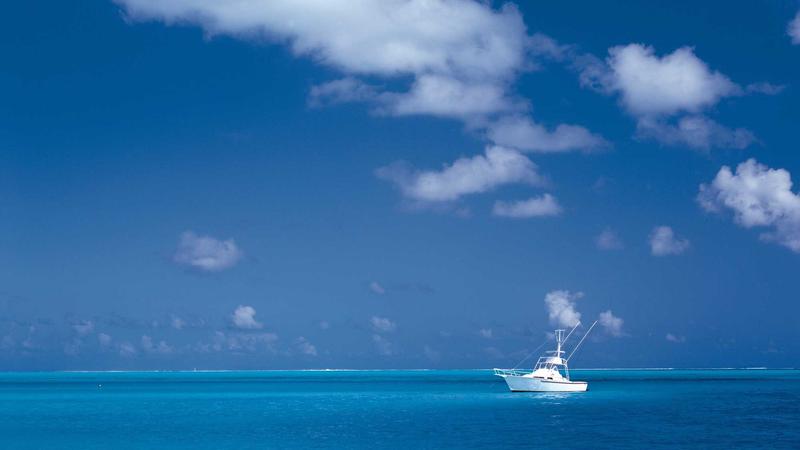 Premium coffee cupping