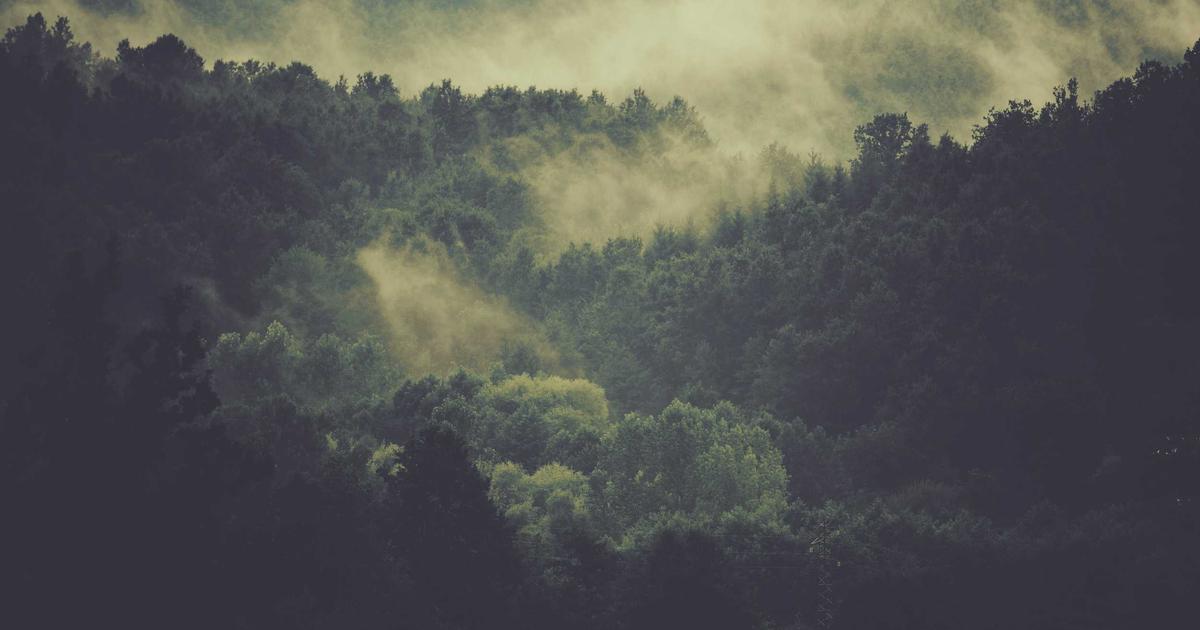 Nghệ Thuật Cá Nhân Hóa Trong Cắt Tóc High-End: Khi Kiểu Tóc Là Tiếng Nói Bản Thân