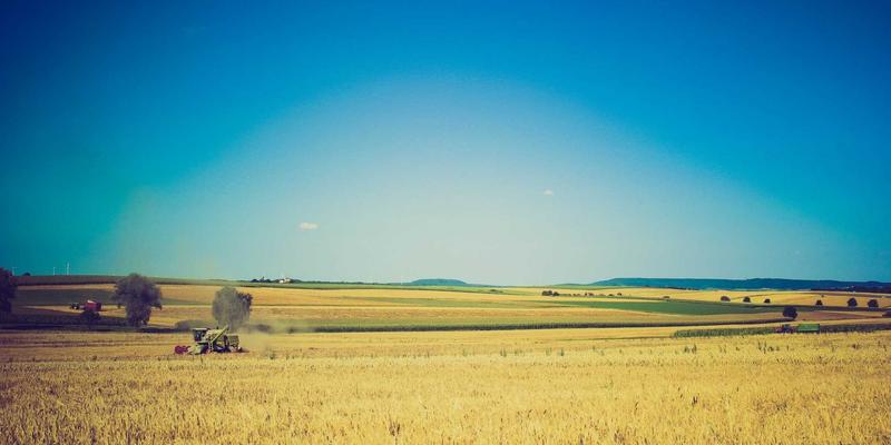 Developer and Designer Collaboration