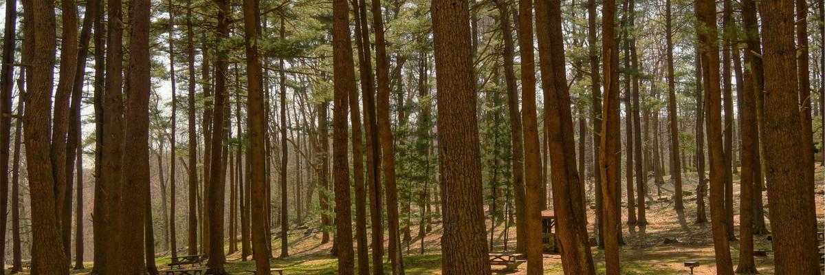 Landscape banner garden