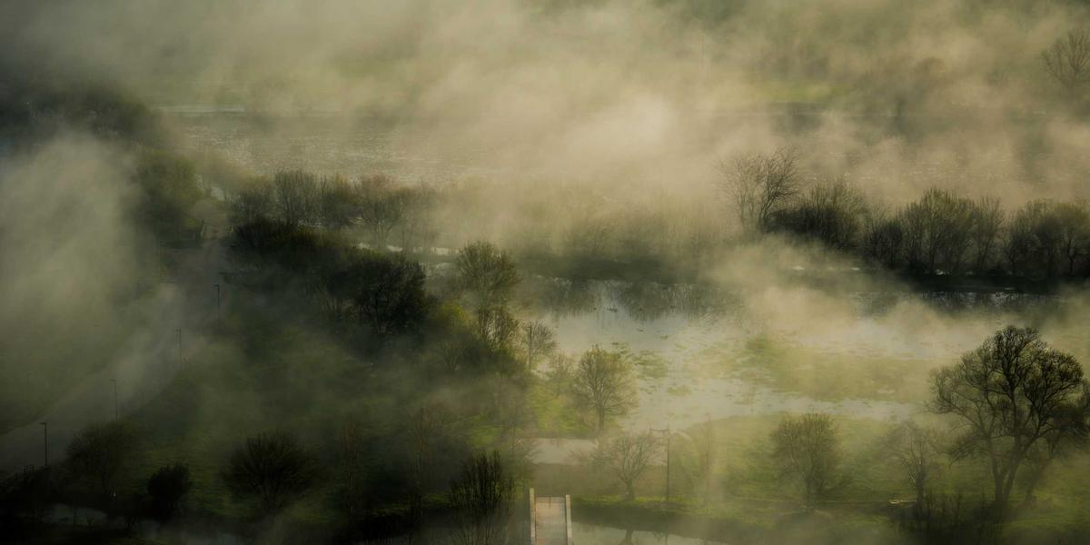 Plant Molecular Extraction