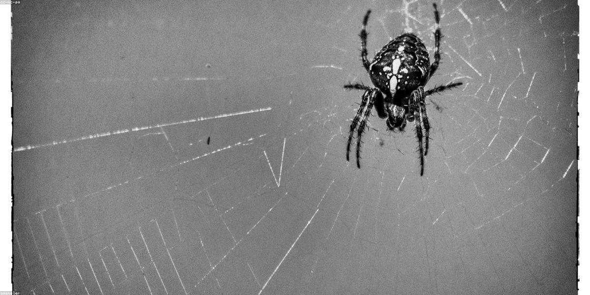 AI Website Design Evolution