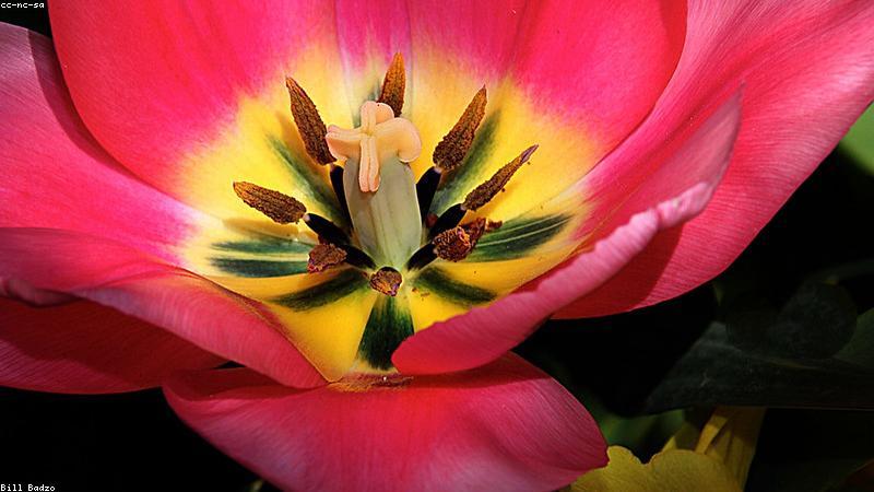 Cảnh quan du lịch Việt Nam