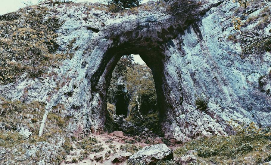 Hầm rượu kính âm tường hiện đại 2026