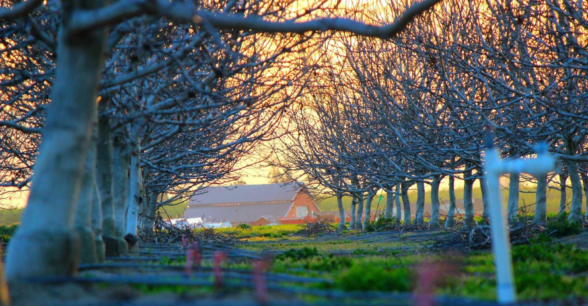 Starship Interior 2026 Mockup
