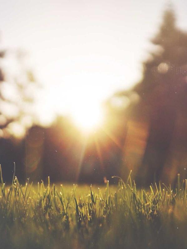 Embedded Microchip Design