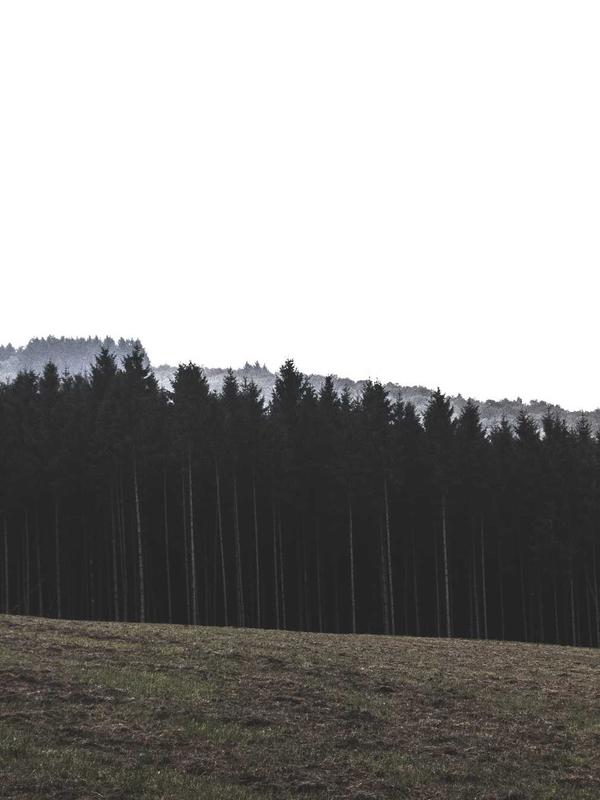 Smart Device Ecosystem 2026