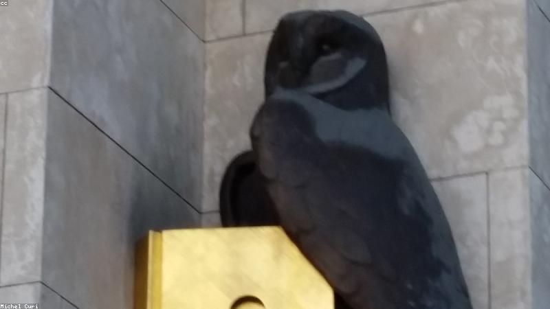 Vàng 24k cho mục đích đầu tư