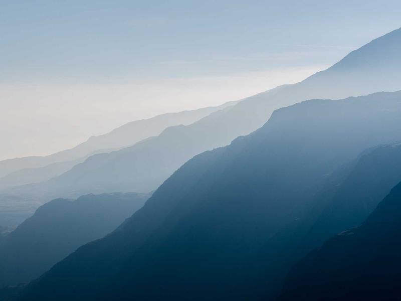 Minimalist Cafe Franchise