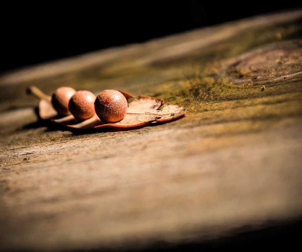 Bác sĩ tư vấn online 2026