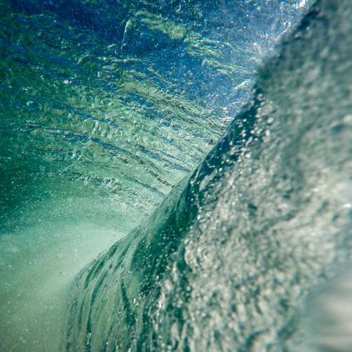 Kỹ thuật nhồi bông chuyên nghiệp