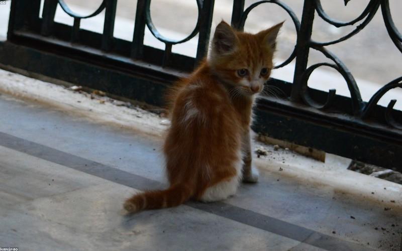 Gia đình chơi đùa cùng nhau