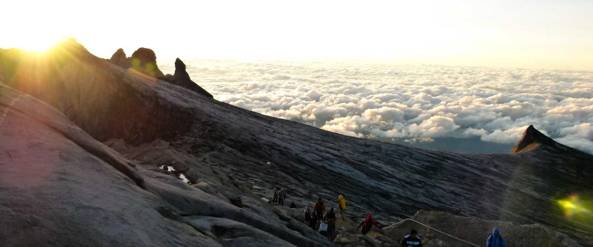 Responsive Technology