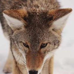 Flashcard đầu tư 2026