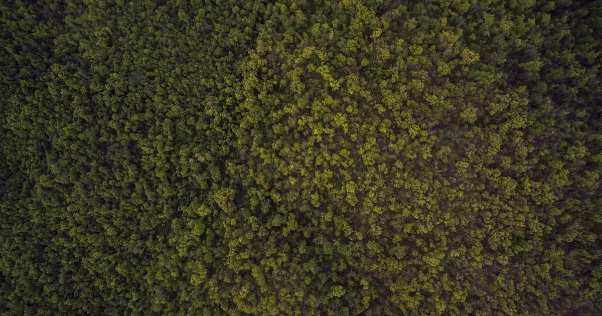 Lật Mặt 7: Một Điều Ước cán mốc 450 tỷ đồng: Giải mã sức hút 'phá đảo' phòng vé Việt 2024