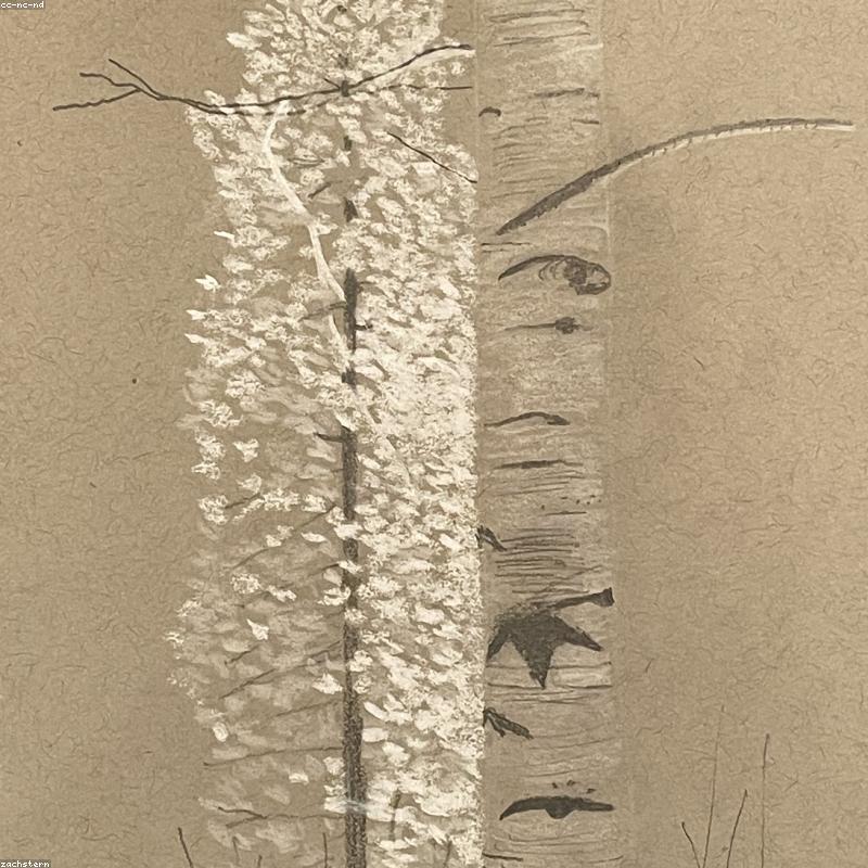 Bút Chì Phác Thảo Staedtler Mars Lumograph