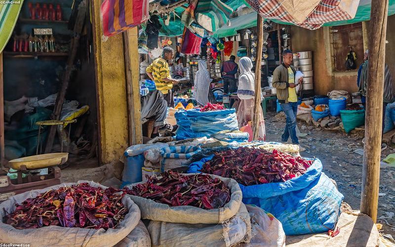 Gia vị đồng quê