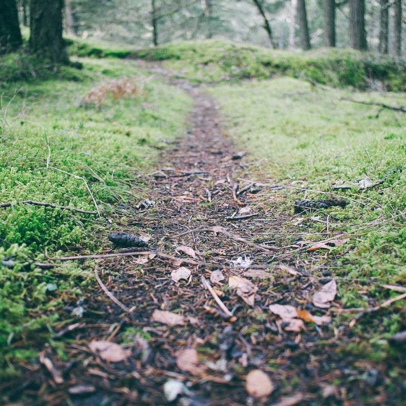 Sơ mi Nam Oxford Premium 1