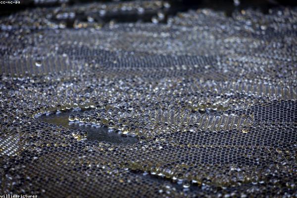 Detail visualization