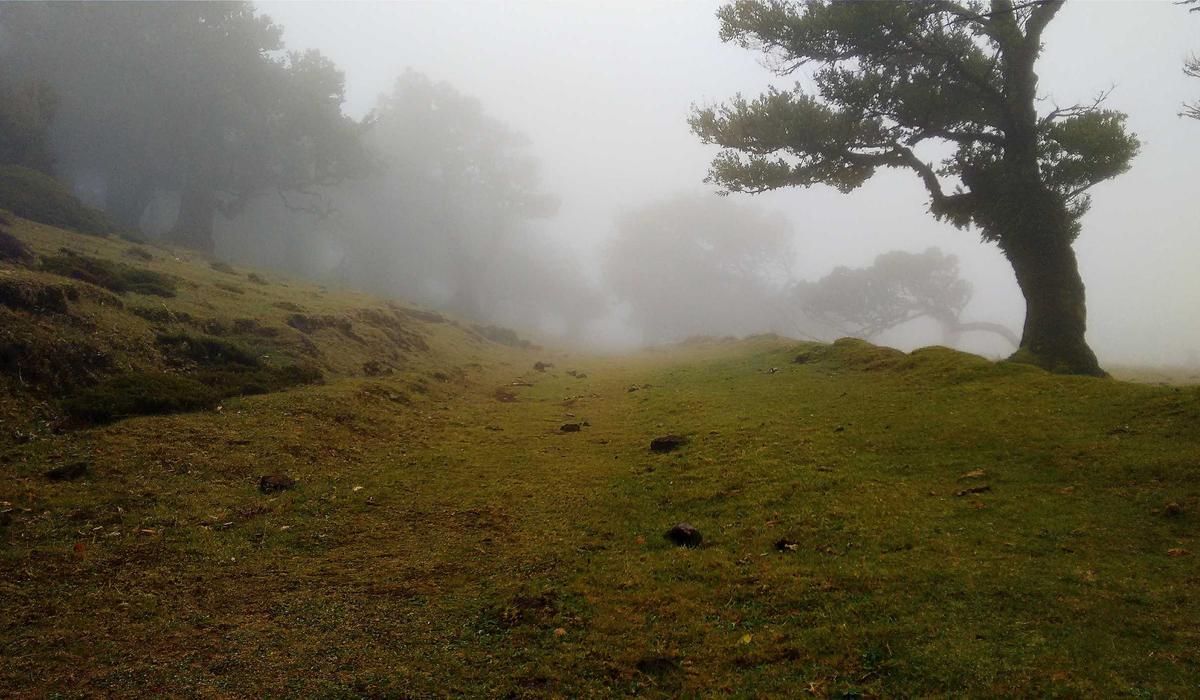 Không gian nội thất sang trọng với sofa da và thảm ba tư