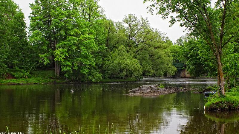 Tài nguyên nước Việt Nam