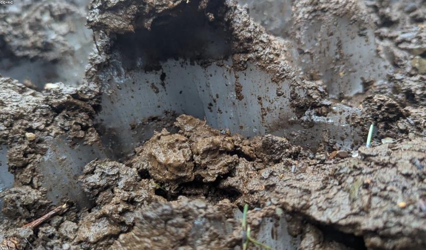 Đất trồng hữu cơ tại Green Valley