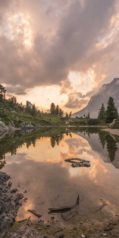 Medical Technology 2026