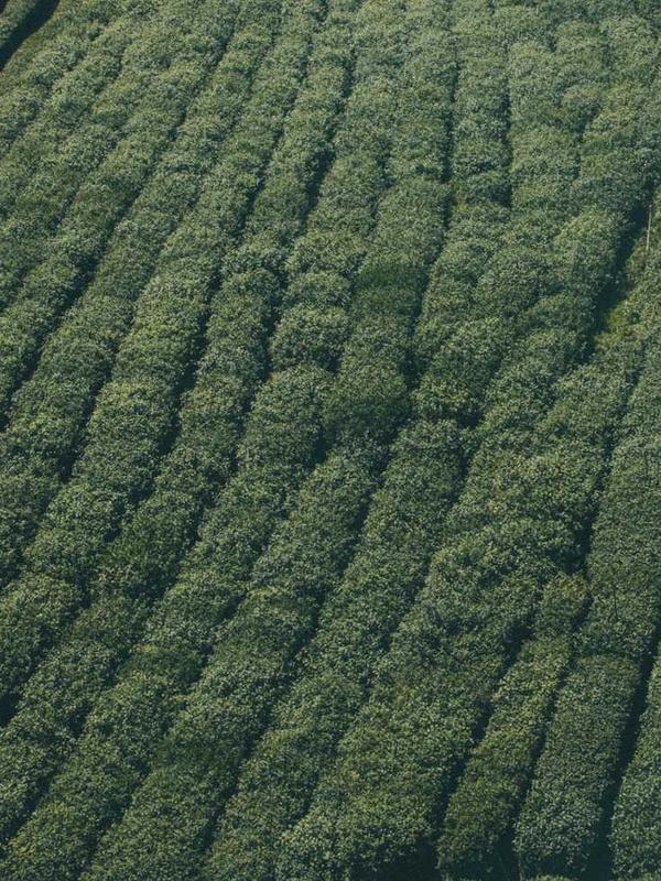 MacBook Pro M5 Ultra 2026