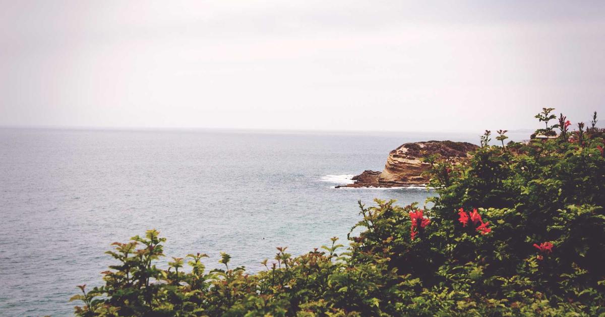 Hướng dẫn tối ưu logic và hiệu suất cho Puzzle Game trên nền tảng Mobile