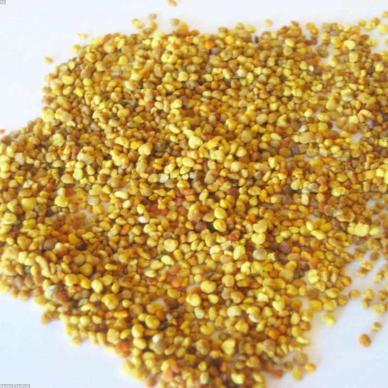 Phấn Hoa Rừng Đa Hoa