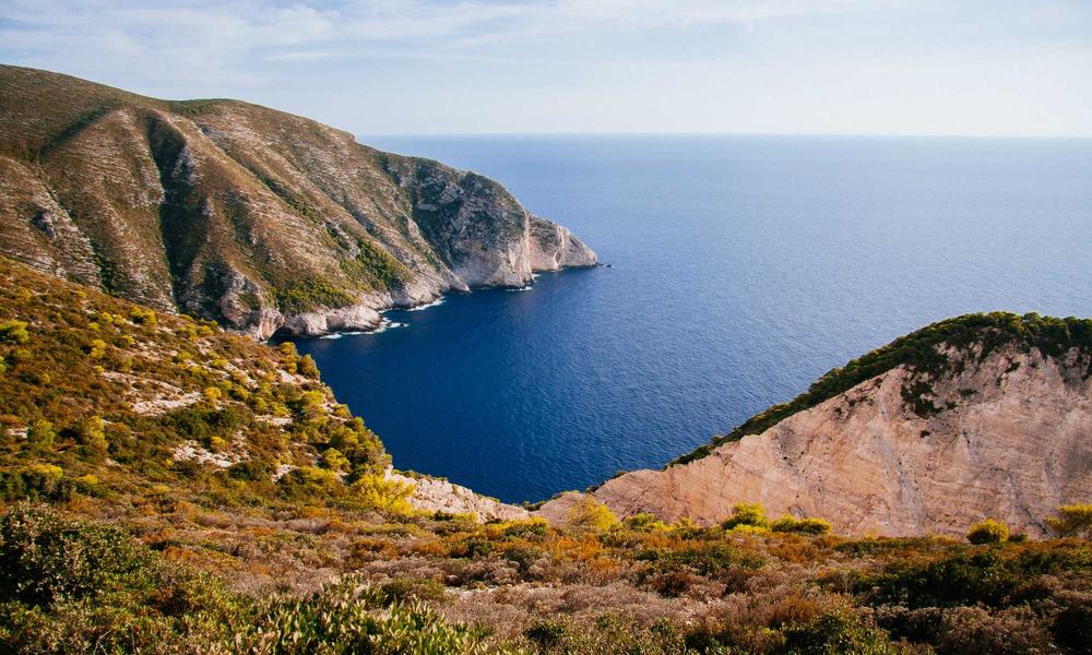 Đo kích thước thú cưng