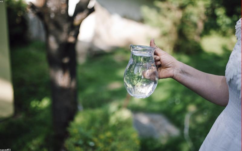 Không gian dã ngoại lý tưởng cho gia đình và bạn bè