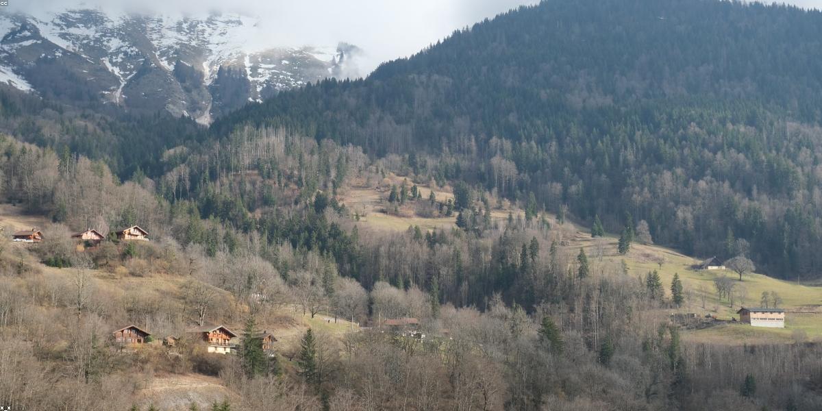 Sự giao thoa giữa công nghệ AI và thiên nhiên