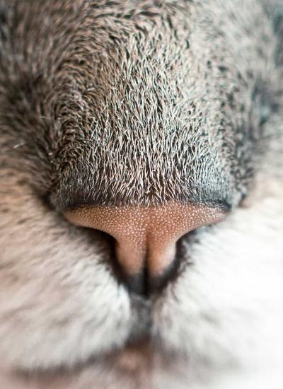 Chăm sóc bệnh nhân