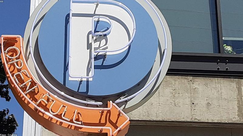 Mèo trưởng thành khỏe mạnh