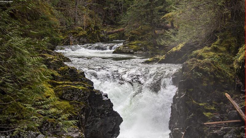 Business Growth with AI