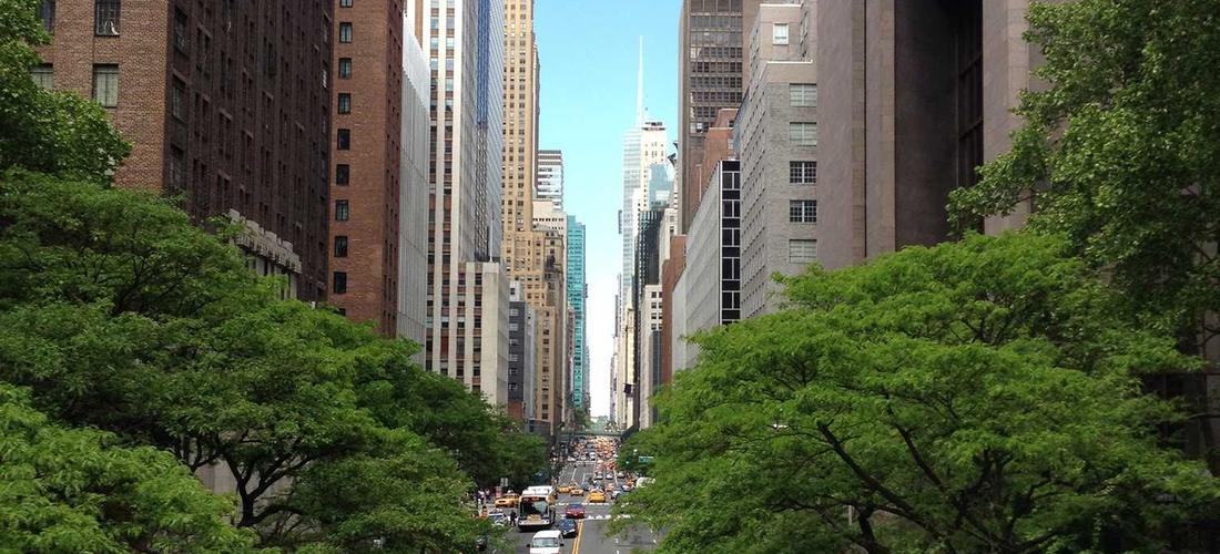 BST Áo thun công sở 2026